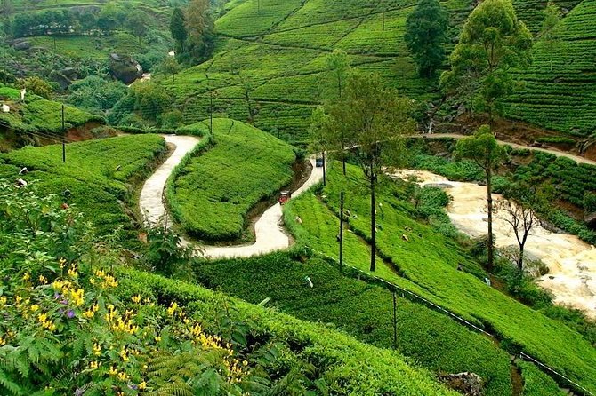 Sri Lanka 7