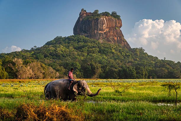 Wildlife & Adventure